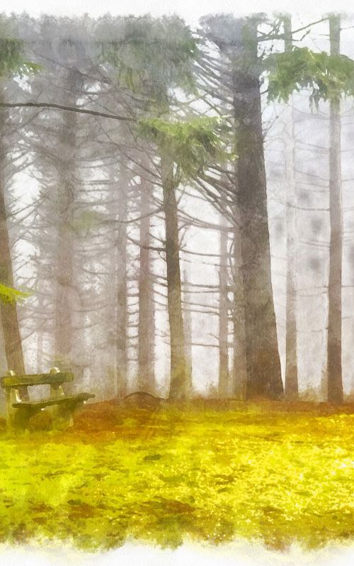 Autumn in The Pine Forest by Alistair Wells