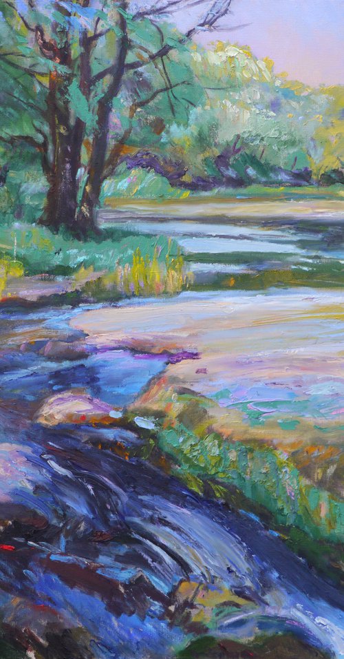 Voiced river Belous by Vyacheslav Onyshchenko