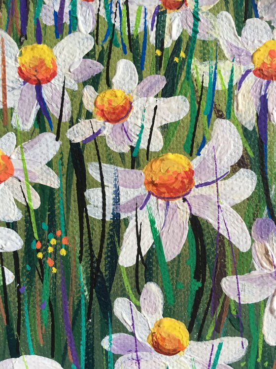 Lazy Daisies