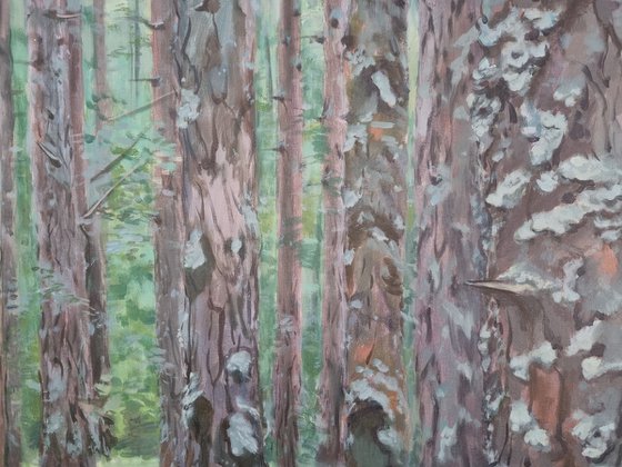 Mossy forest