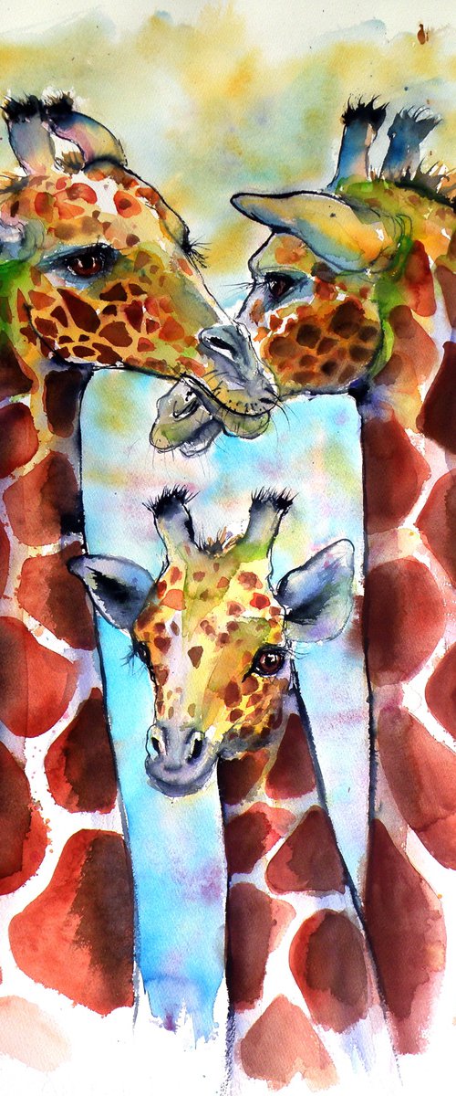 Giraffe family by Kovács Anna Brigitta