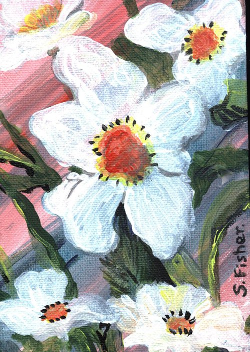 anenome style flowers by Sandra Fisher