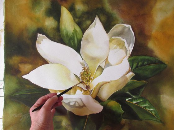 scent of the magnolia