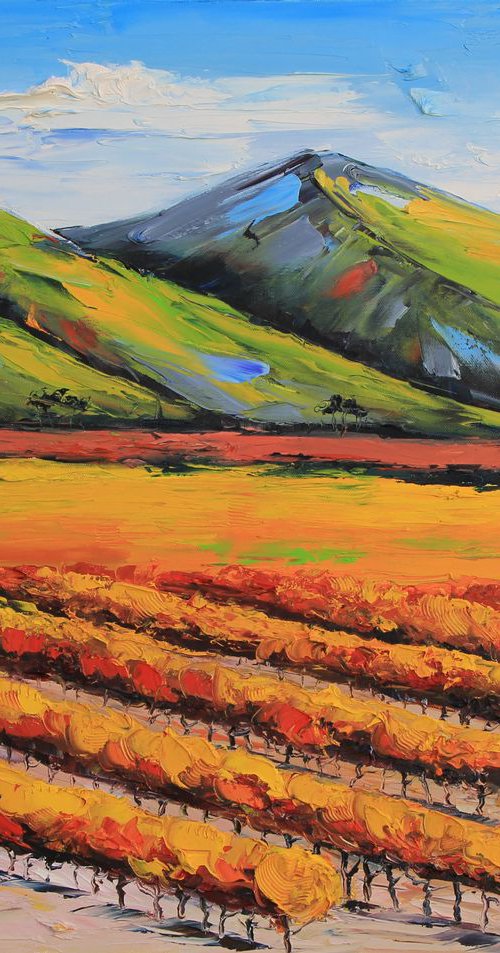 Napa Vineyard by Lisa Elley