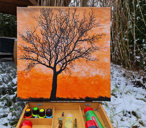 Orange sunset