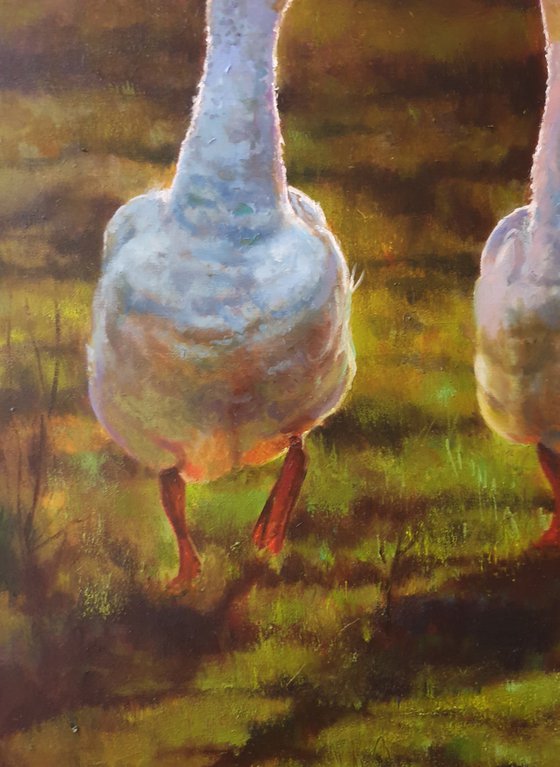 "Two cheerful geese"