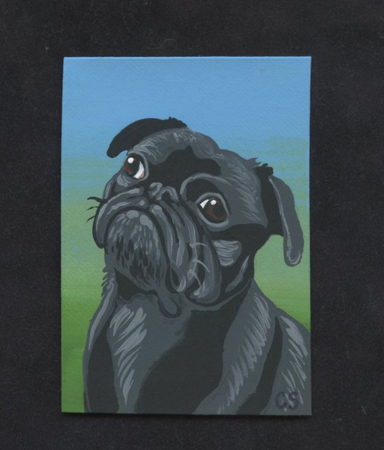 ACEO ATC Original Miniature Painting Black Pug Pet Dog Art-Carla Smale