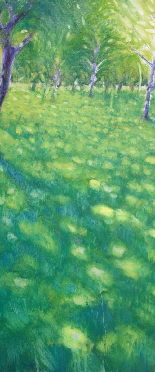 Light walking on the lawn V by Mauro Trolese