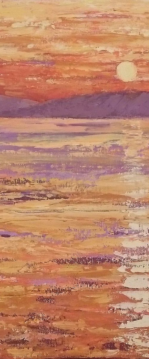 Sunset over the Bay by Michele Wallington