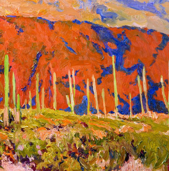 Saguaros and Desert Colors