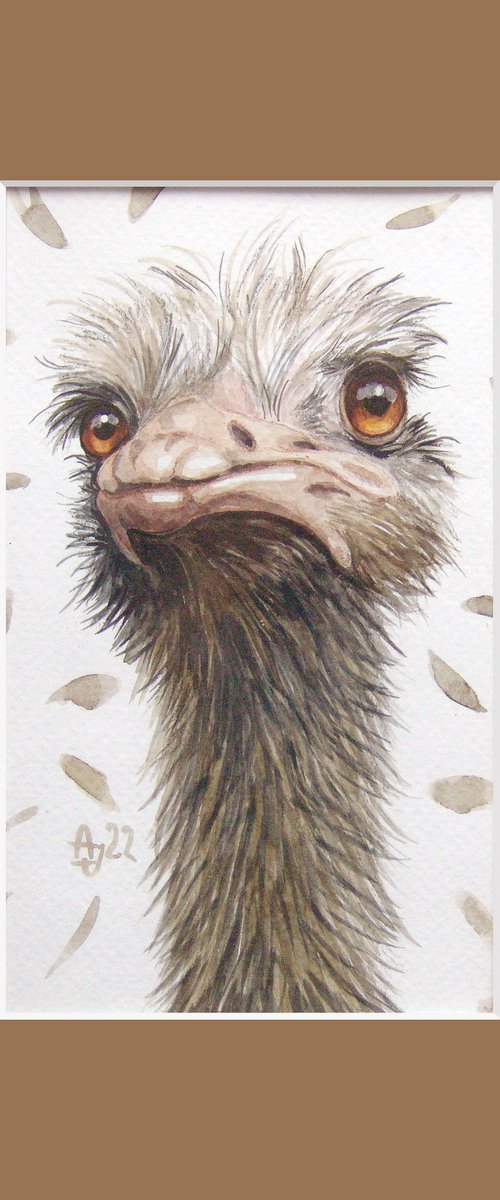 Ostriches are beautiful :) by Jolanta Czarnecka