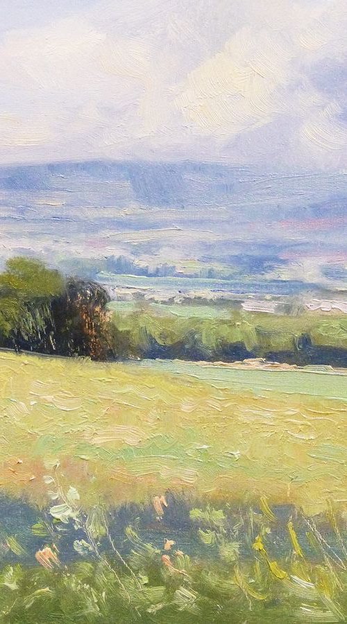 Landscape near Sisteron by Pascal Giroud