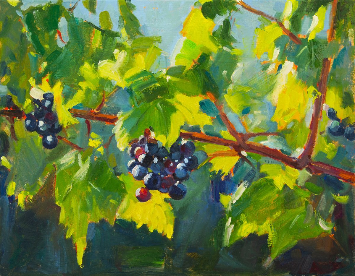 Impressionistic Landscape Oil Painting By Daria Zavadenko, 18 X 14, Sun-Kissed Grapes, Original Artwork