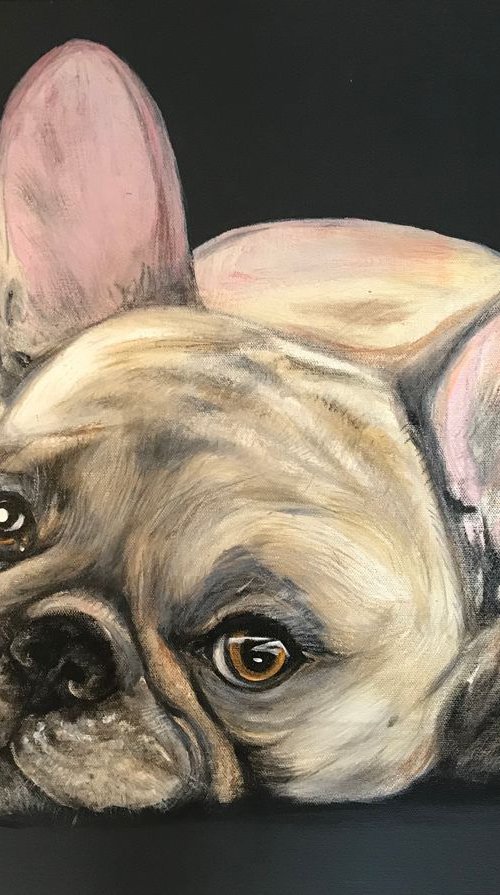 French Bulldog on grey by Amanda Lakin Art
