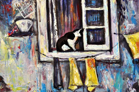 Cat in Alfama Window