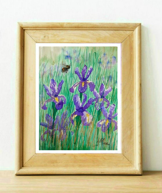 Bee visiting Irises