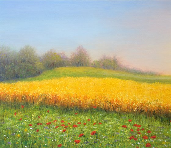 Wheat field in summer