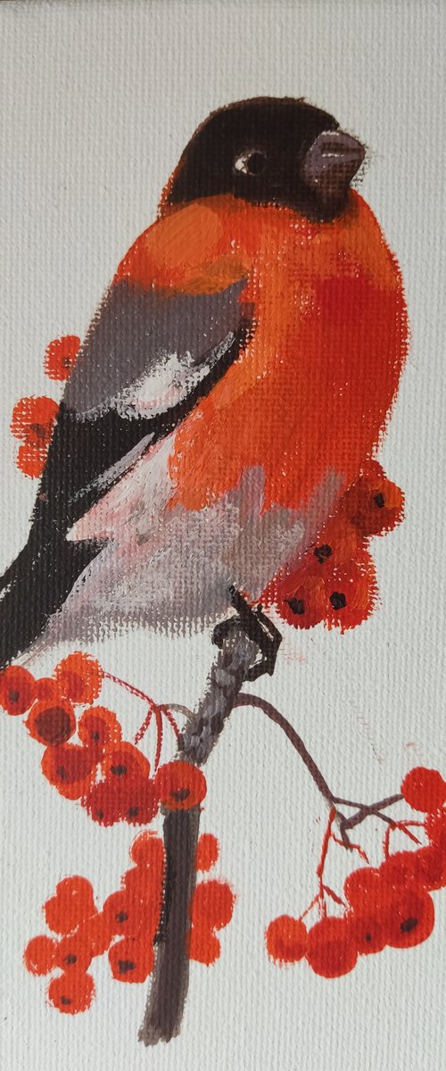 Bullfinch by HELINDA (Olga Müller)