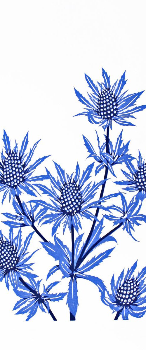 Sea Holly by Kath Edwards