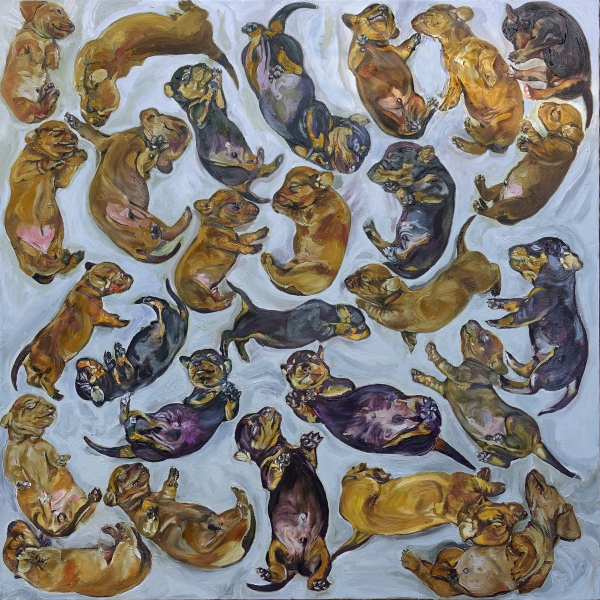 Illustrative Animal Oil Painting By Gandee Vasan, 47 X 47, Sleep, Original Artwork