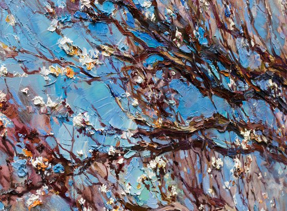 Flowering apricot tree - Original oil painting