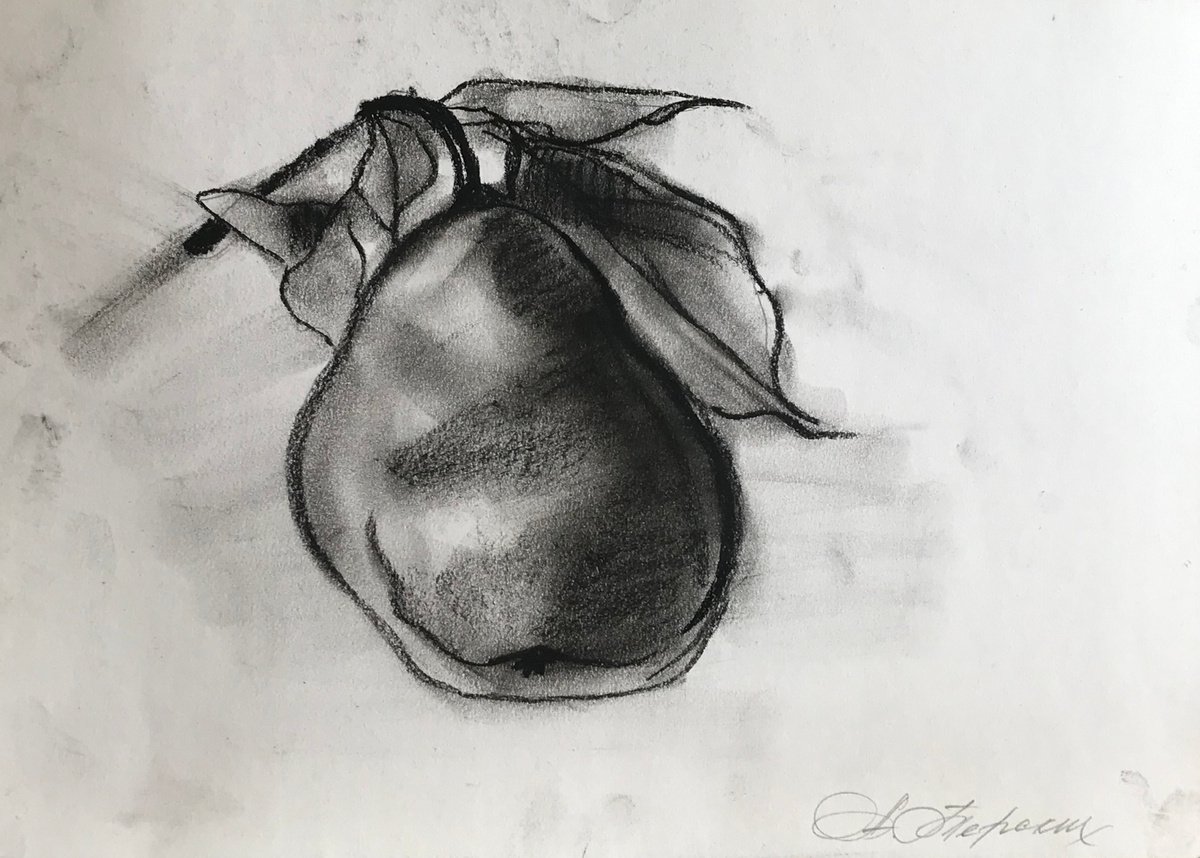 Still Life Charcoal Drawing By Anastasia Terskih, 12 X 8, 