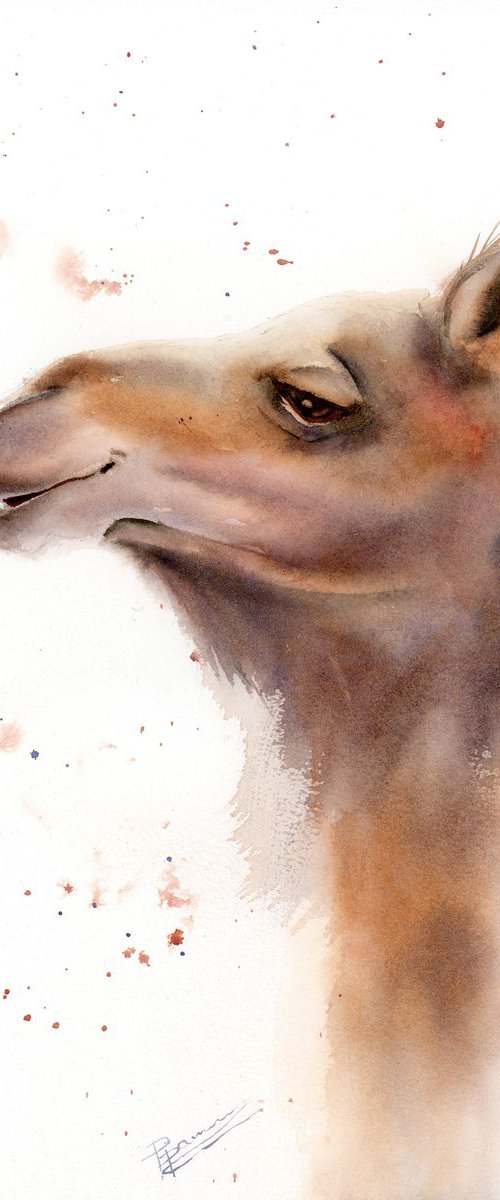 camel portrait by Olga Tchefranov (Shefranov)