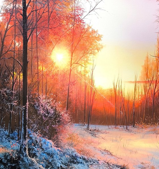 Sunlit Winter Path