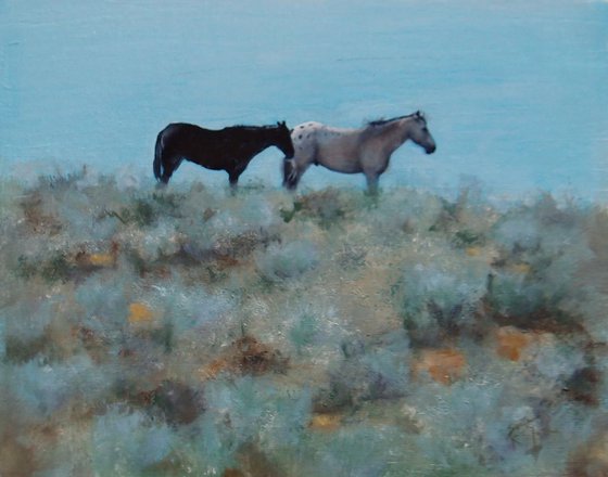 Chacho Canyon Horses