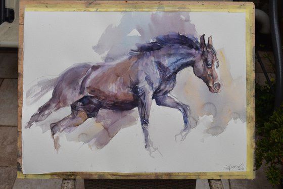 Horse in the run  3 (76x56)