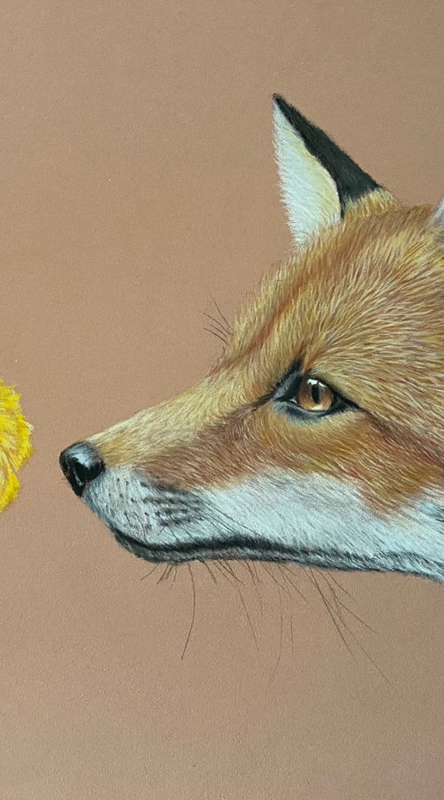 Fox and flower by Maxine Taylor