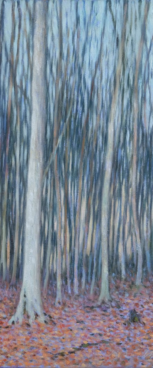 Autumnal forest by Richard Mierniczak