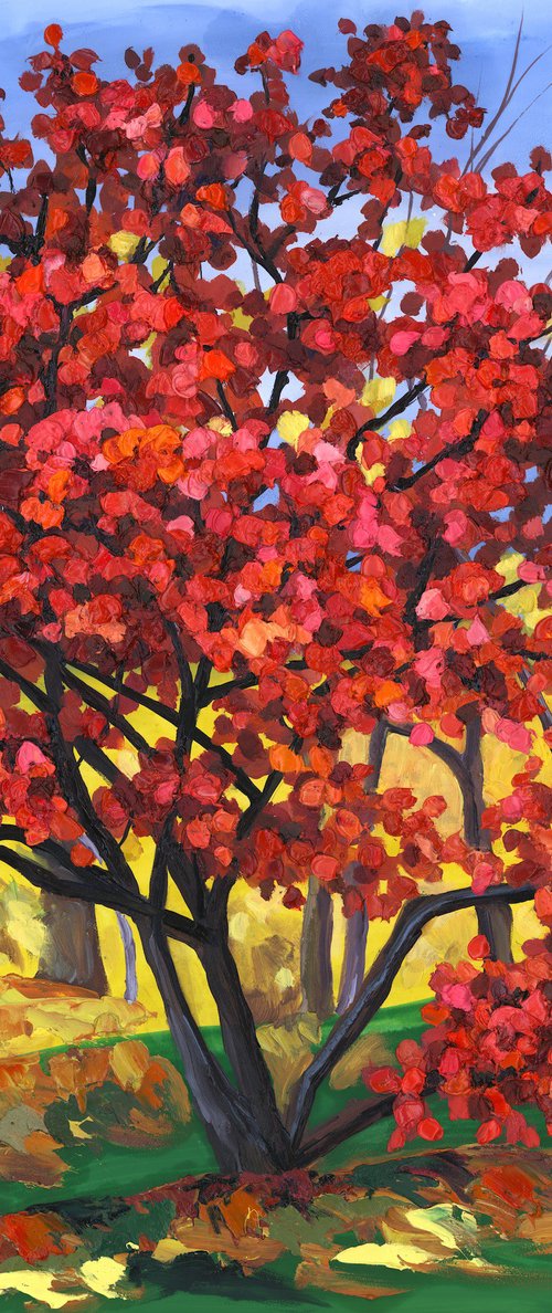 Pink Smokebush by Christina M Plichta