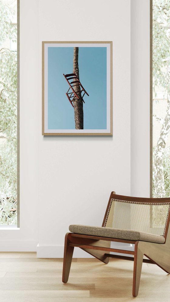 Chair in a tree