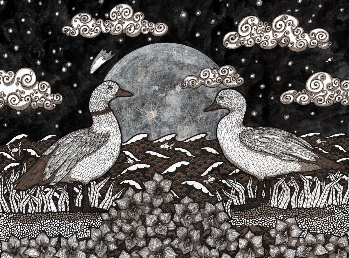 Illustrative Animal Ink Drawing By Terri Smith, 22 X 17", The Never - Ever Ducks, Original Artwork