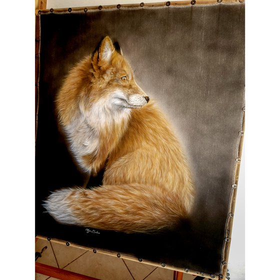 Red fox