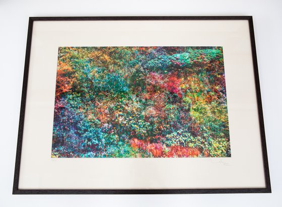 Wall of Nature XXIX (Framed)