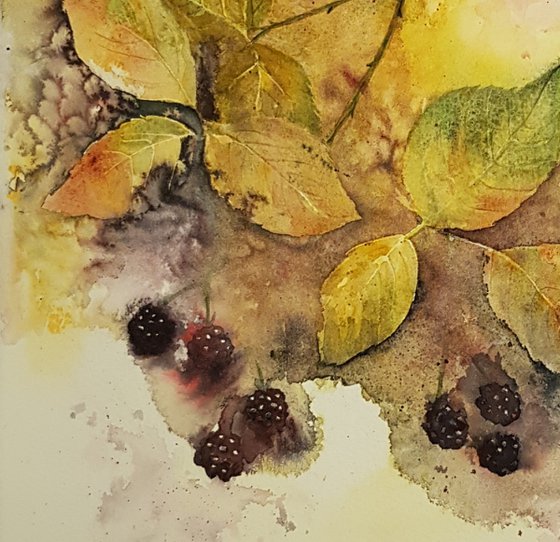 Autumn Blackberries