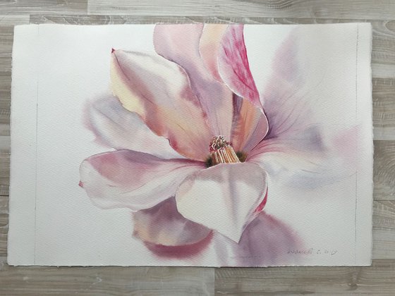 Magnolia Flower