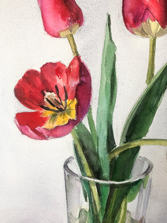 Red tulips