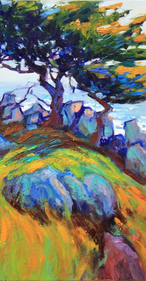 Pebble Beach California by Serhii Cherniakovskyi