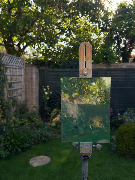 Autumn Morning, Back Garden