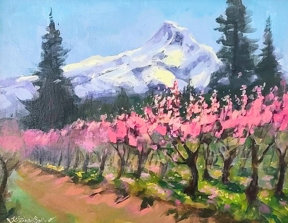 Montain View Orchard