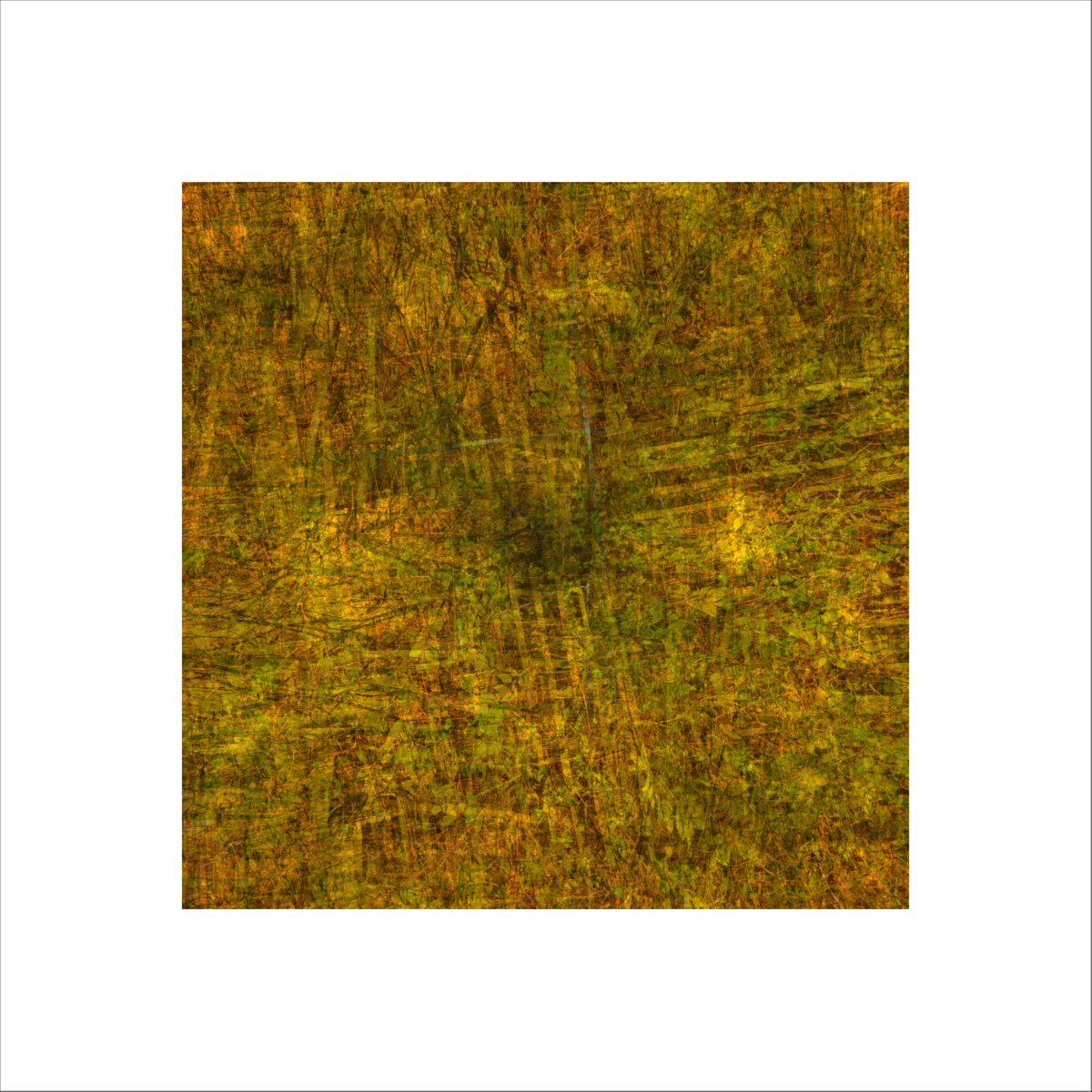 Abstract Landscape Photograph By Paul Harrison, 30 X 30", Signs #32, Original Artwork