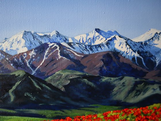 Mountain, Field of poppies