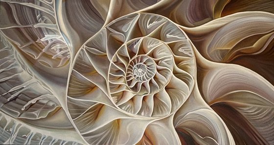 NAUTILUS POMPILIUS (VI)