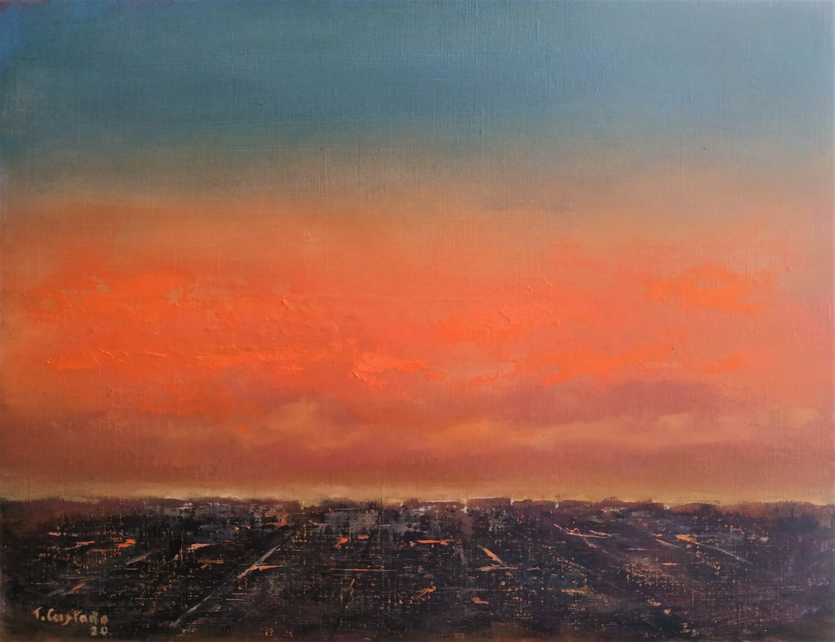 The city from a bird