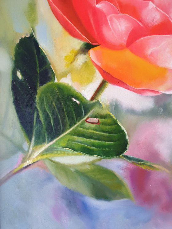 "In the morning in the garden.  "  rose red flower  liGHt original painting  GIFT (221)