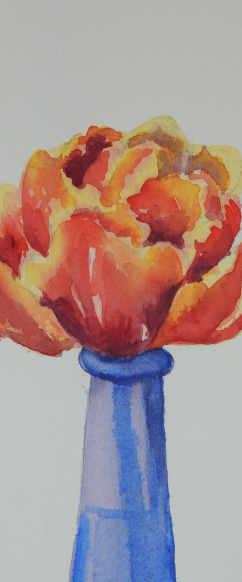 Tulip in a blue vase by Krystyna Szczepanowski