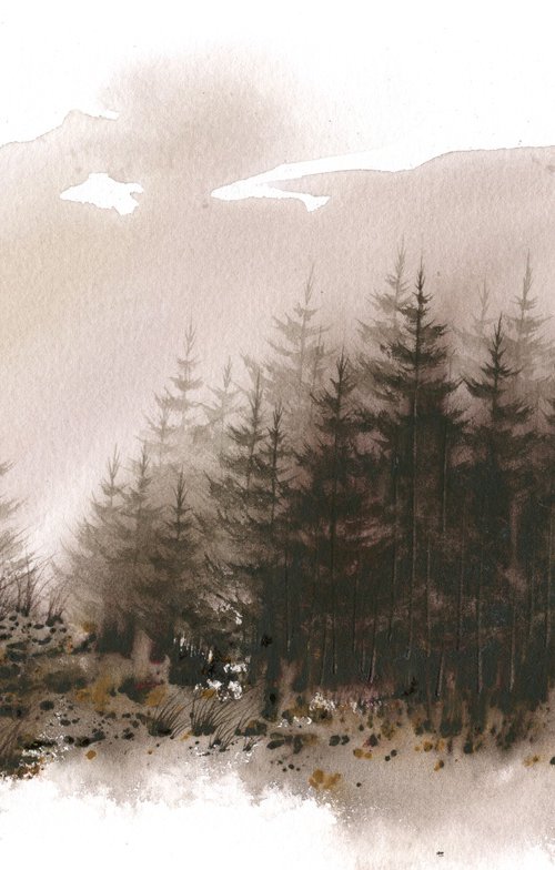Places XXXI - Watercolor Pine Forest by ieva Janu